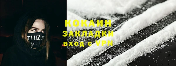 сатива Богданович