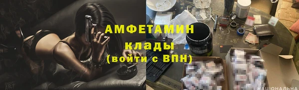 сатива Богданович