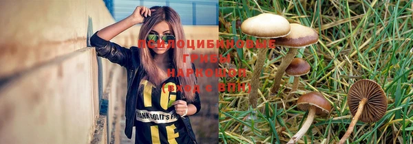сатива Богданович