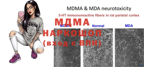 сатива Богданович