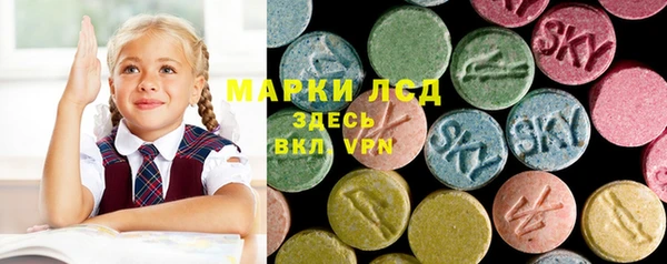 сатива Богданович