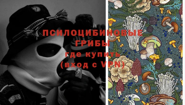 соль ск Богородицк