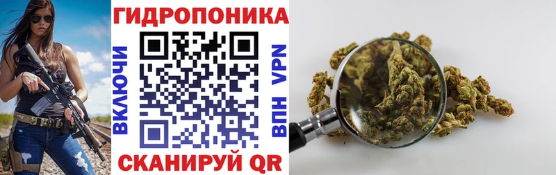купить  цена  Можайск  Шишки марихуана Amnesia 